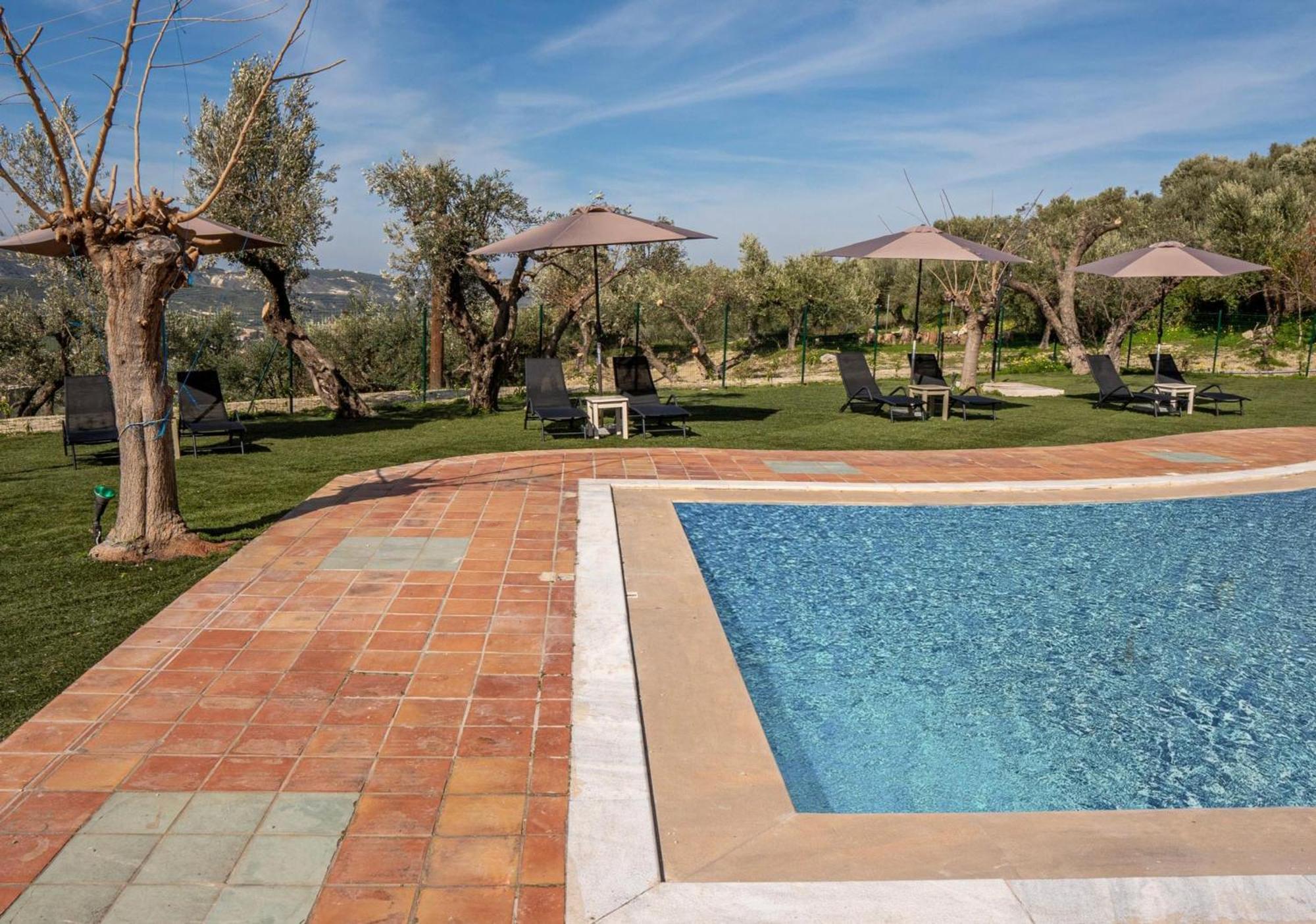 Olive Grove Maisonettes And Apts Appartement *